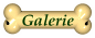 Galerie